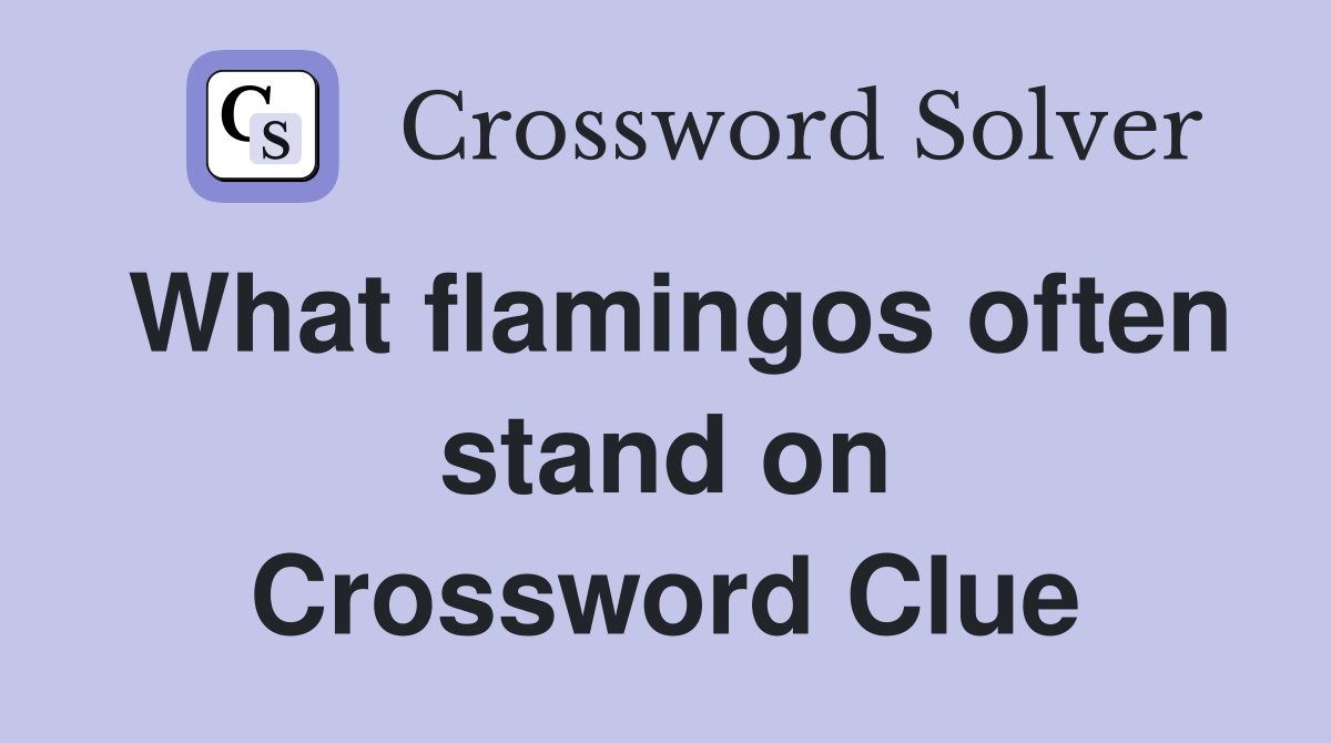 What flamingos often stand on Crossword Clue