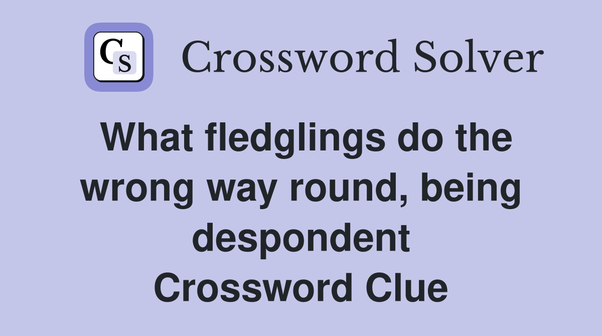 What fledglings do the wrong way round, being despondent Crossword Clue