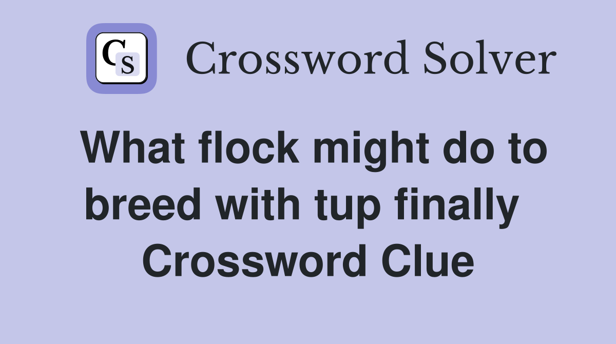 What flock might do to breed with tup finally  Crossword Clue