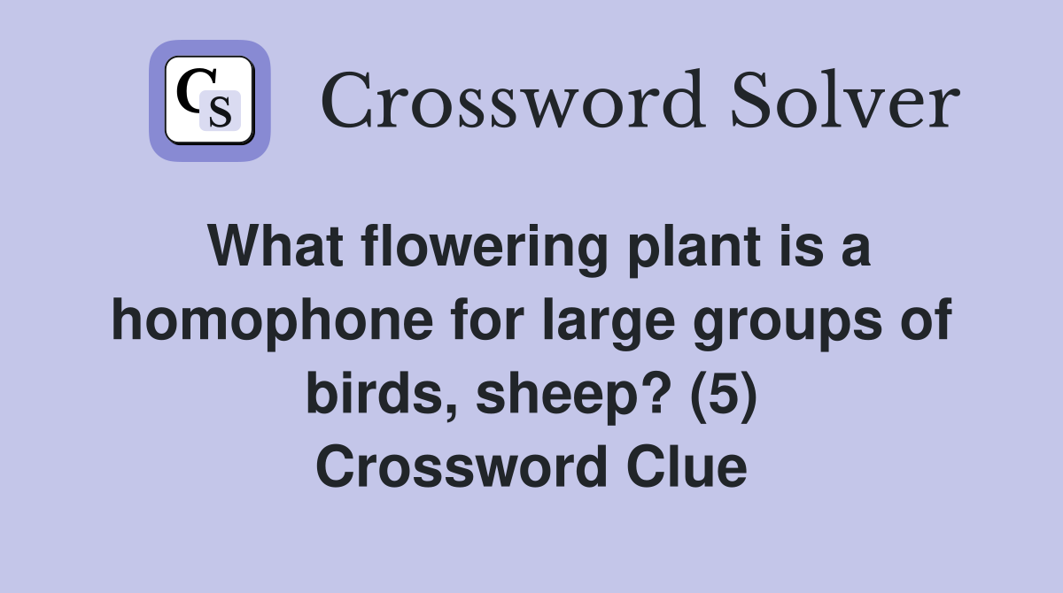 What flowering plant is a homophone for large groups of birds, sheep? (5) Crossword Clue