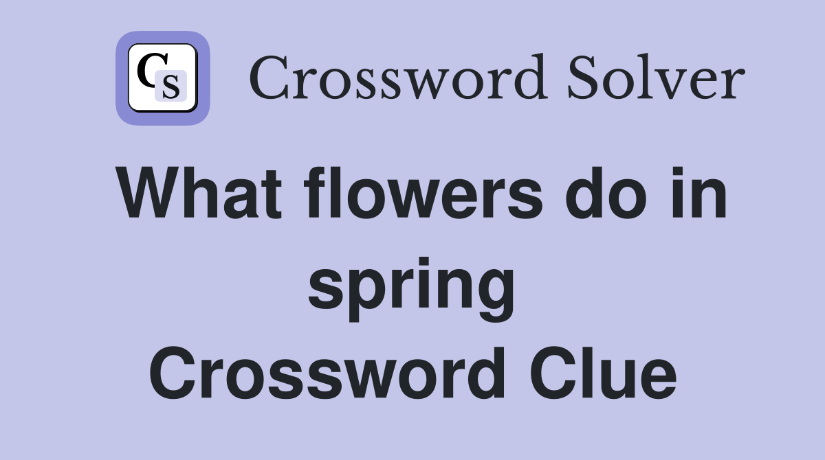 What flowers do in spring Crossword Clue