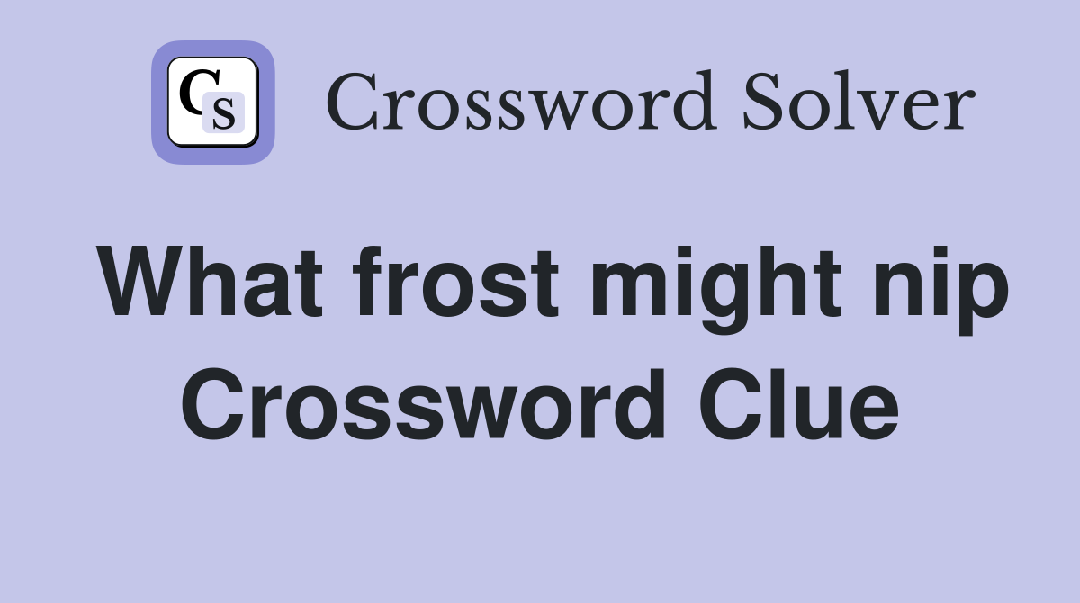 What frost might nip Crossword Clue