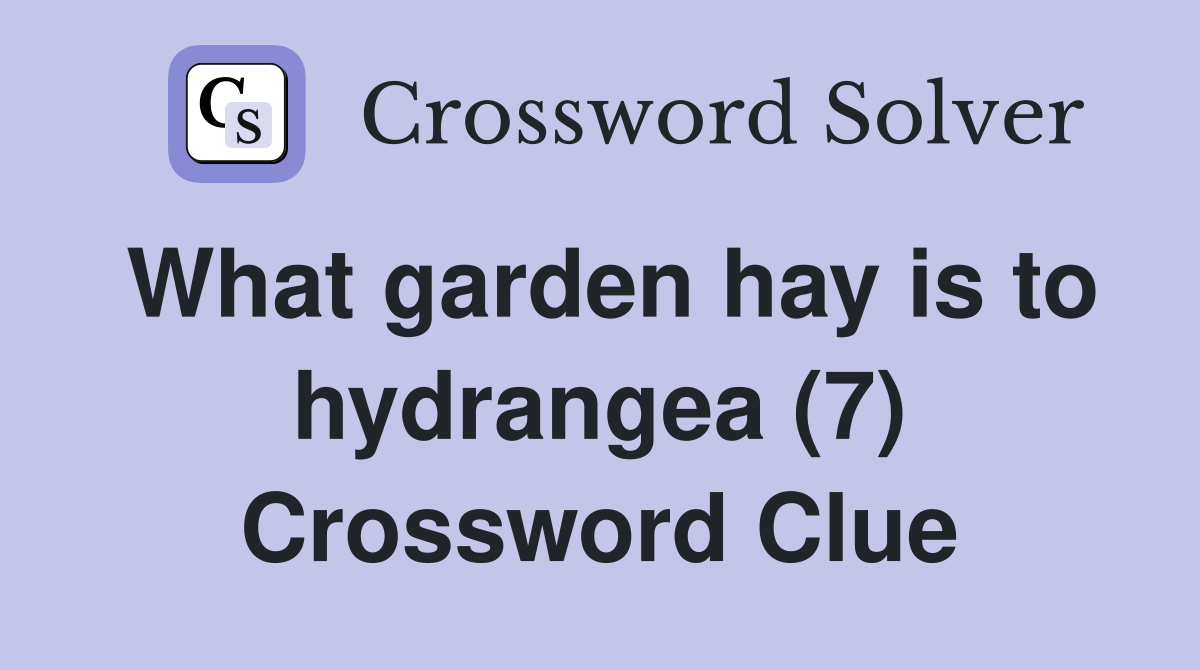What garden hay is to hydrangea (7) Crossword Clue