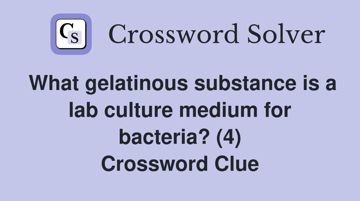 What gelatinous substance is a lab culture medium for bacteria? (4) Crossword Clue