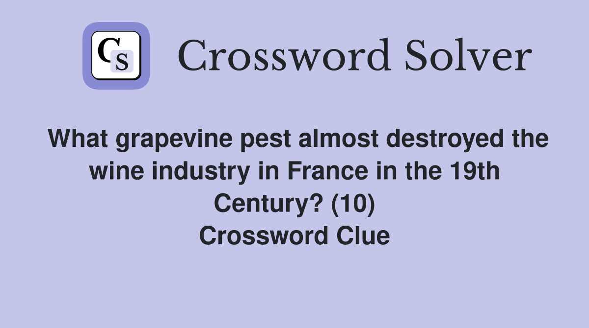 What grapevine pest almost destroyed the wine industry in France in the 19th Century? (10) Crossword Clue