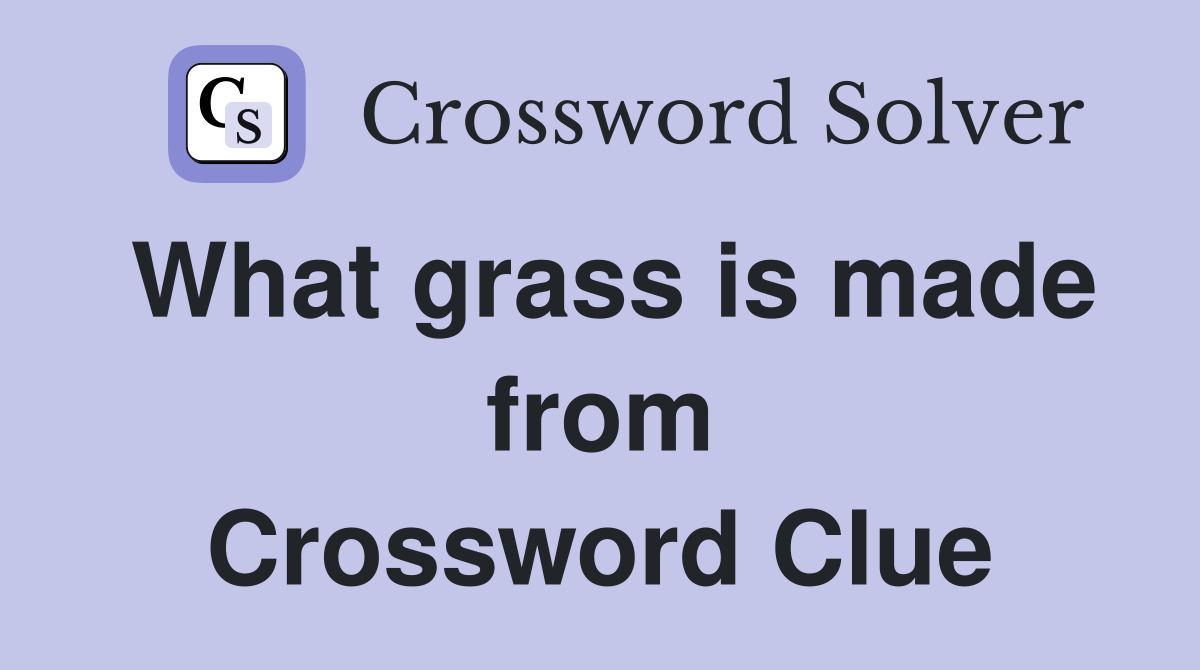 What grass is made from Crossword Clue