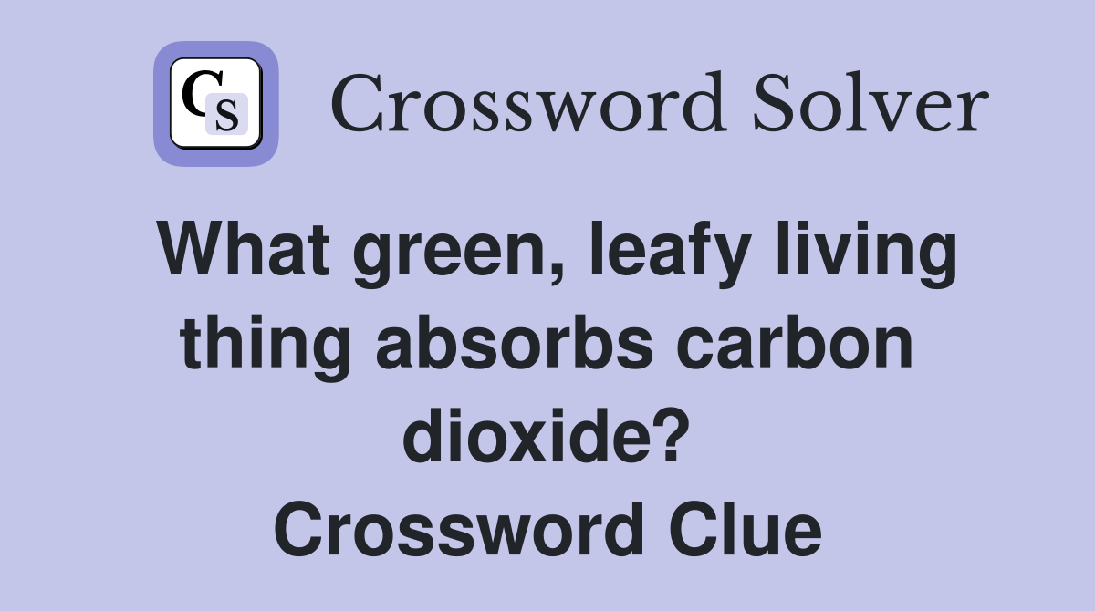 What green, leafy living thing absorbs carbon dioxide? Crossword Clue