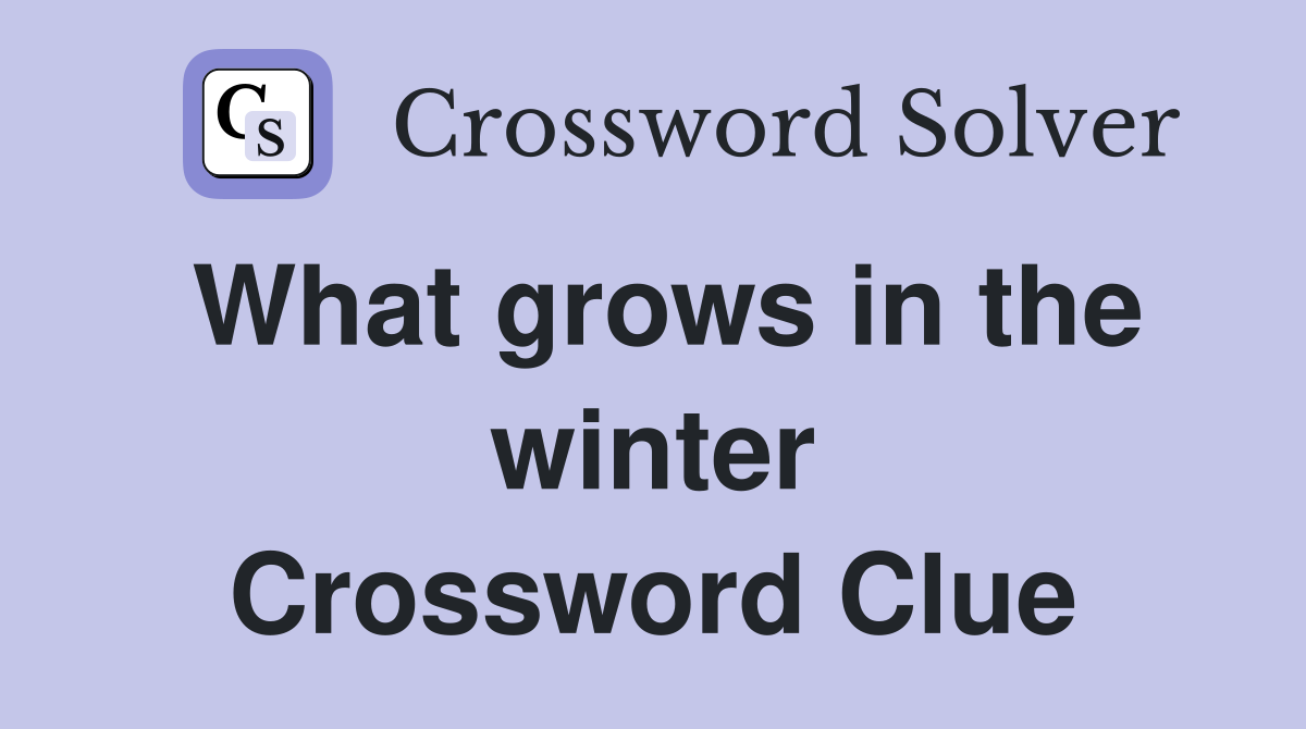 What grows in the winter Crossword Clue