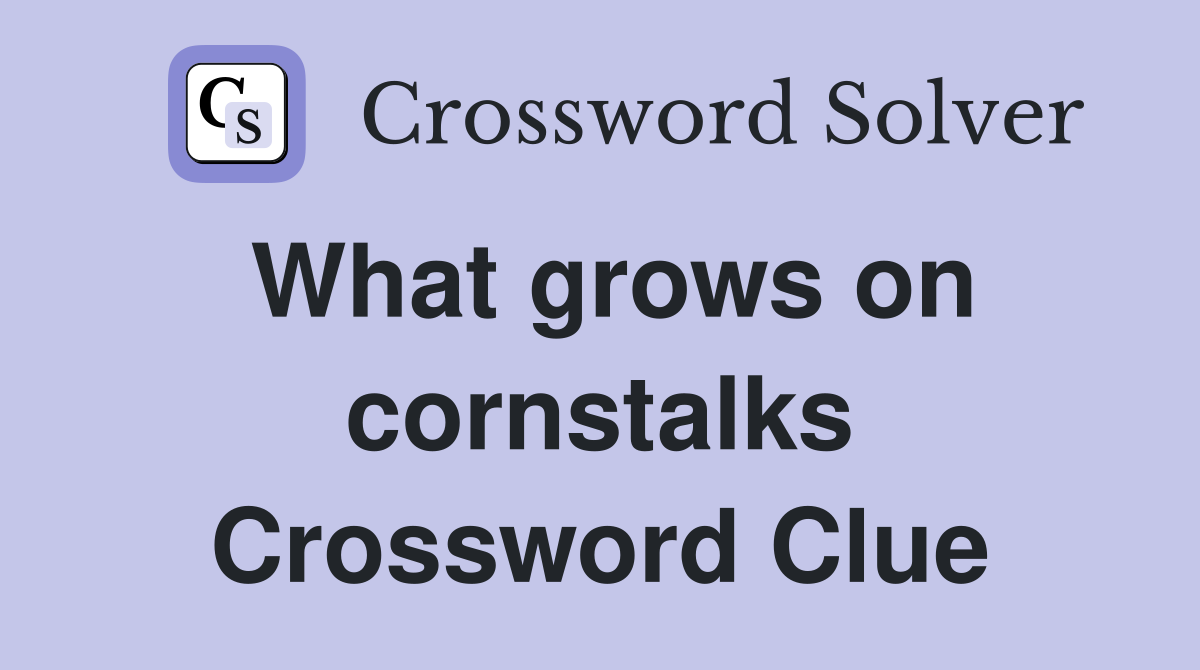 What grows on cornstalks Crossword Clue