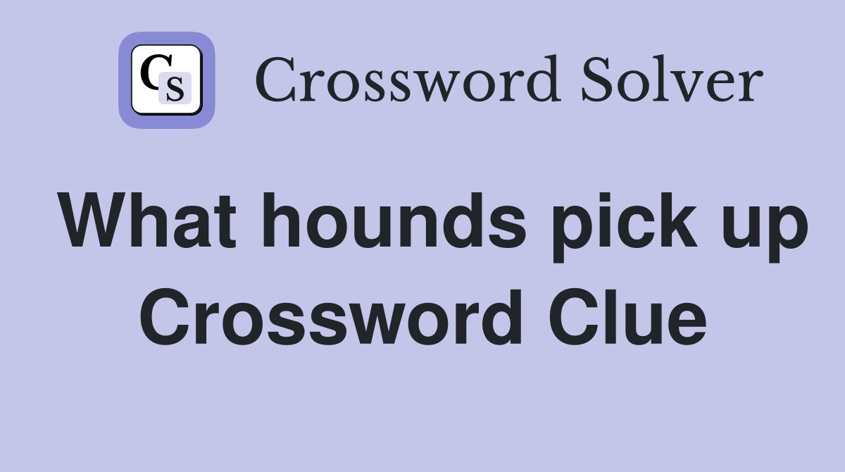 What hounds pick up Crossword Clue