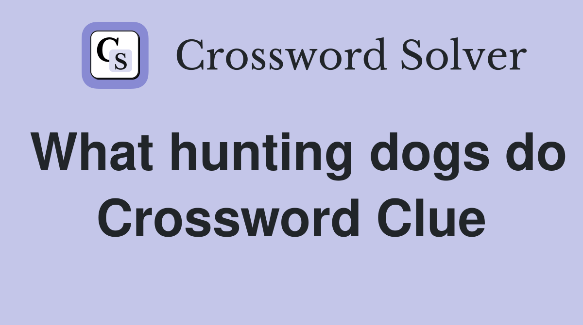 What hunting dogs do Crossword Clue