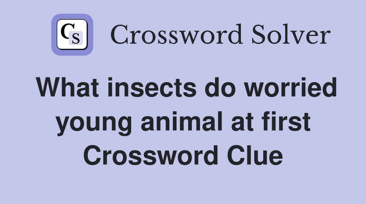 What insects do worried young animal at first Crossword Clue