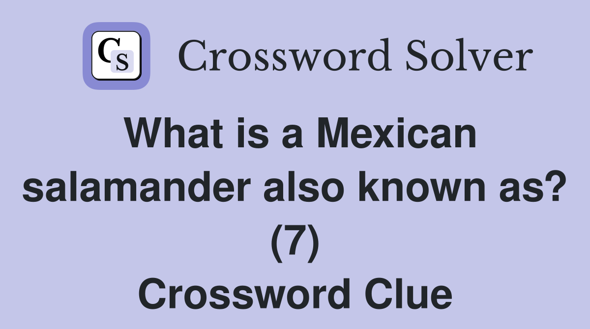 What is a Mexican salamander also known as? (7) Crossword Clue
