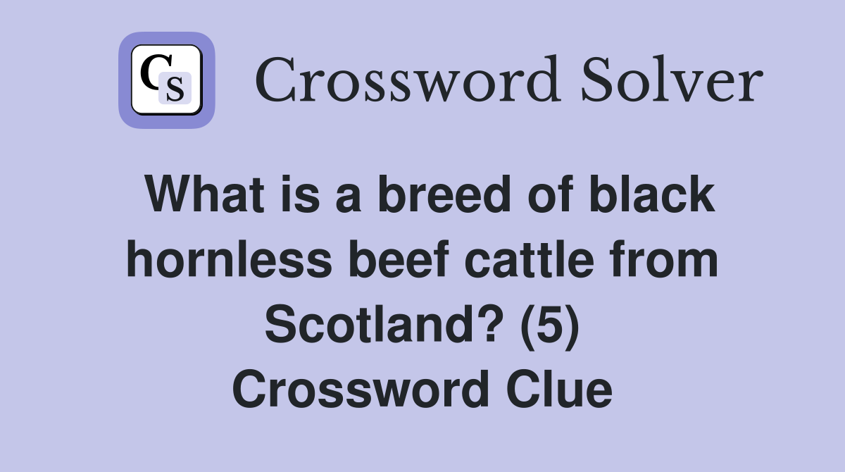 What is a breed of black hornless beef cattle from Scotland? (5) Crossword Clue