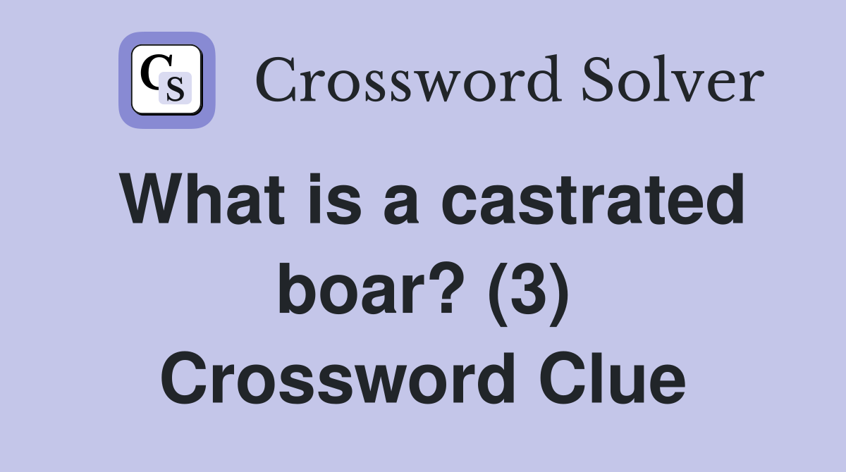 What is a castrated boar? (3) Crossword Clue