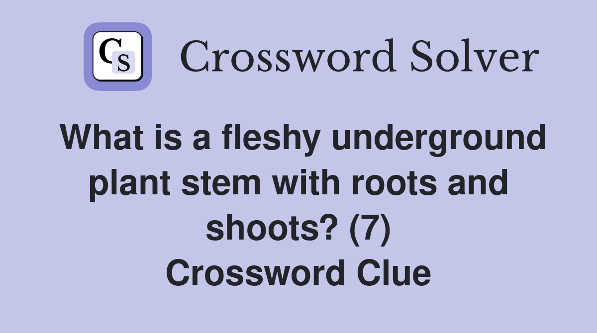 What is a fleshy underground plant stem with roots and shoots? (7) Crossword Clue