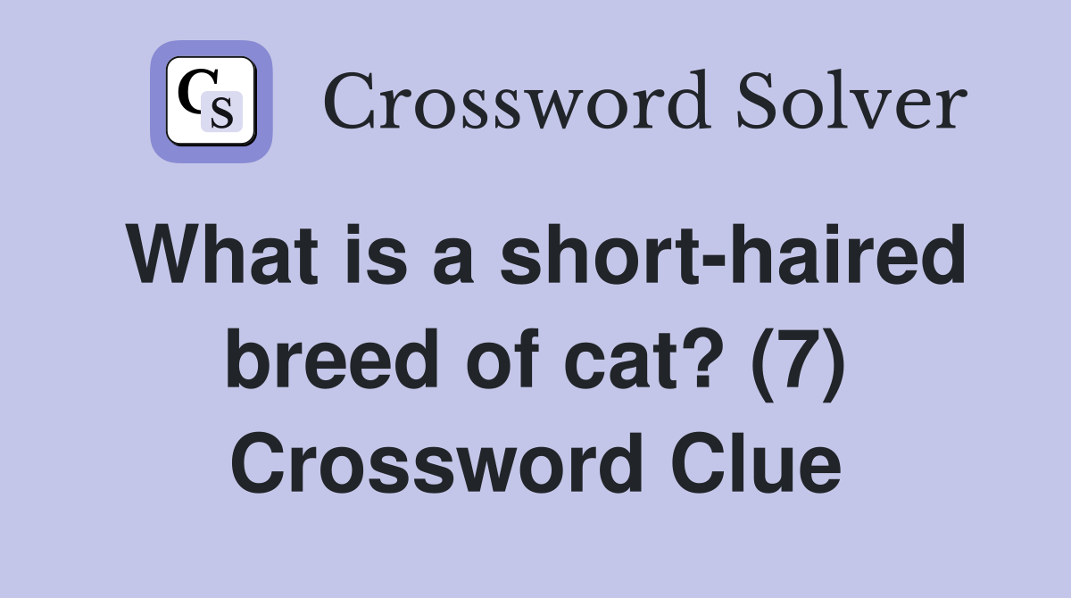 What is a short-haired breed of cat? (7) Crossword Clue