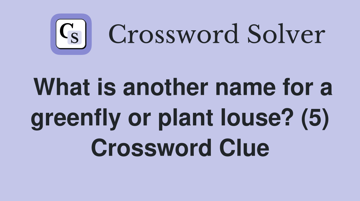 What is another name for a greenfly or plant louse? (5) Crossword Clue