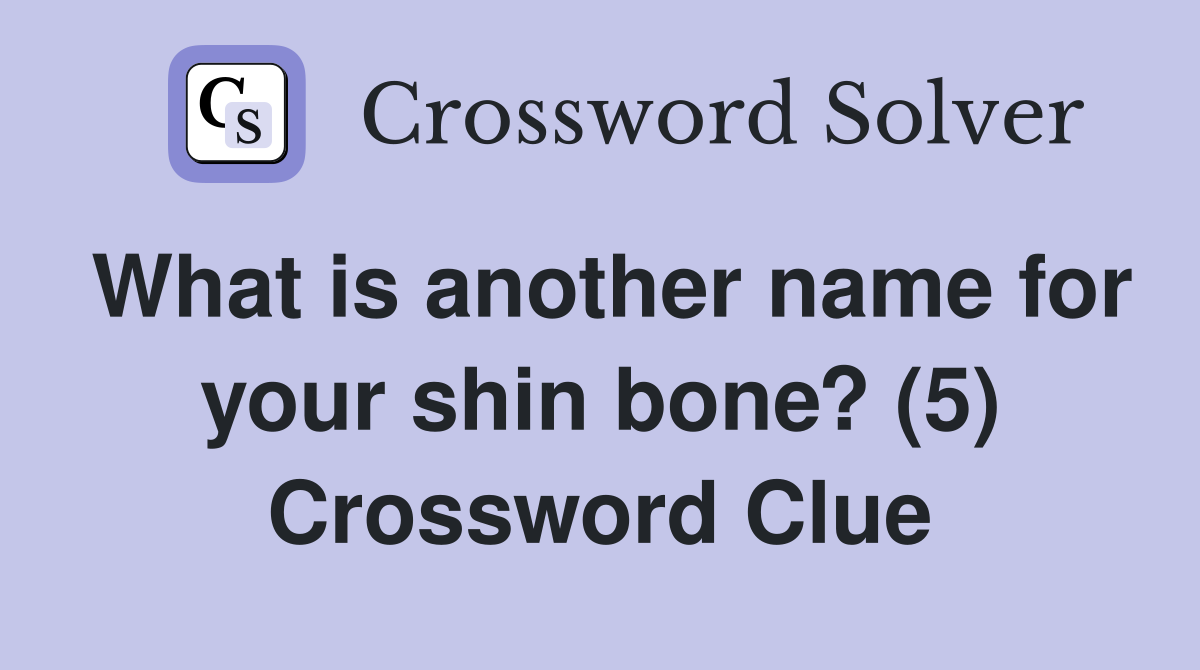 What is another name for your shin bone? (5) Crossword Clue