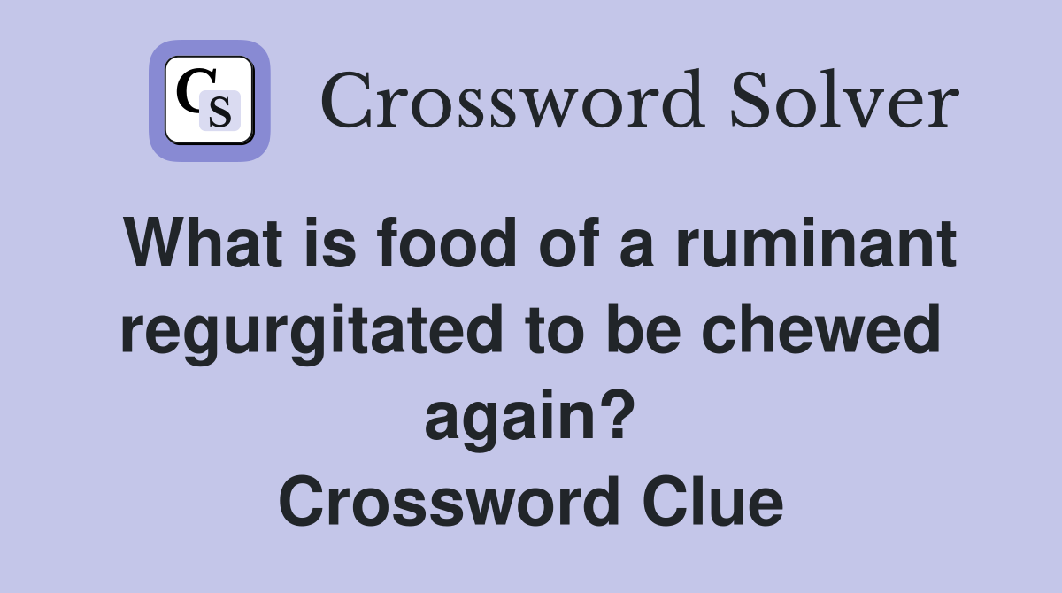 What is food of a ruminant regurgitated to be chewed again? Crossword Clue
