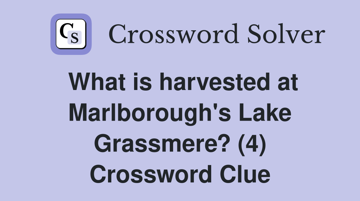 What is harvested at Marlborough's Lake Grassmere? (4) Crossword Clue