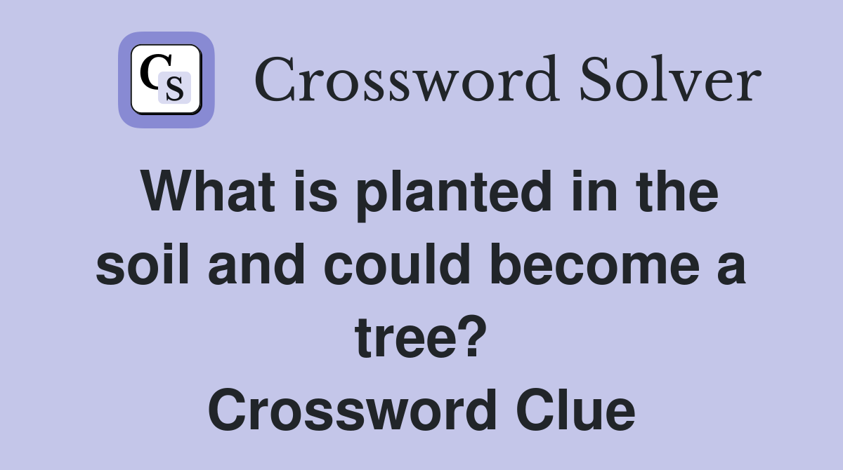 What is planted in the soil and could become a tree? Crossword Clue