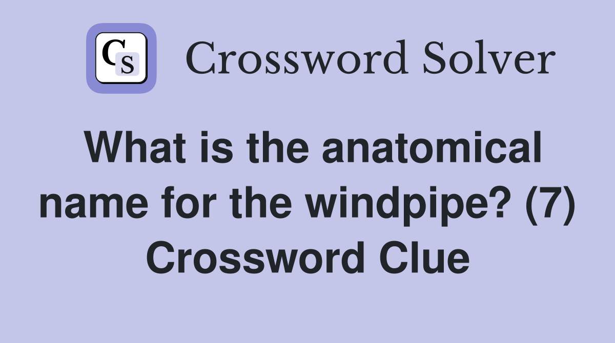 What is the anatomical name for the windpipe? (7) Crossword Clue