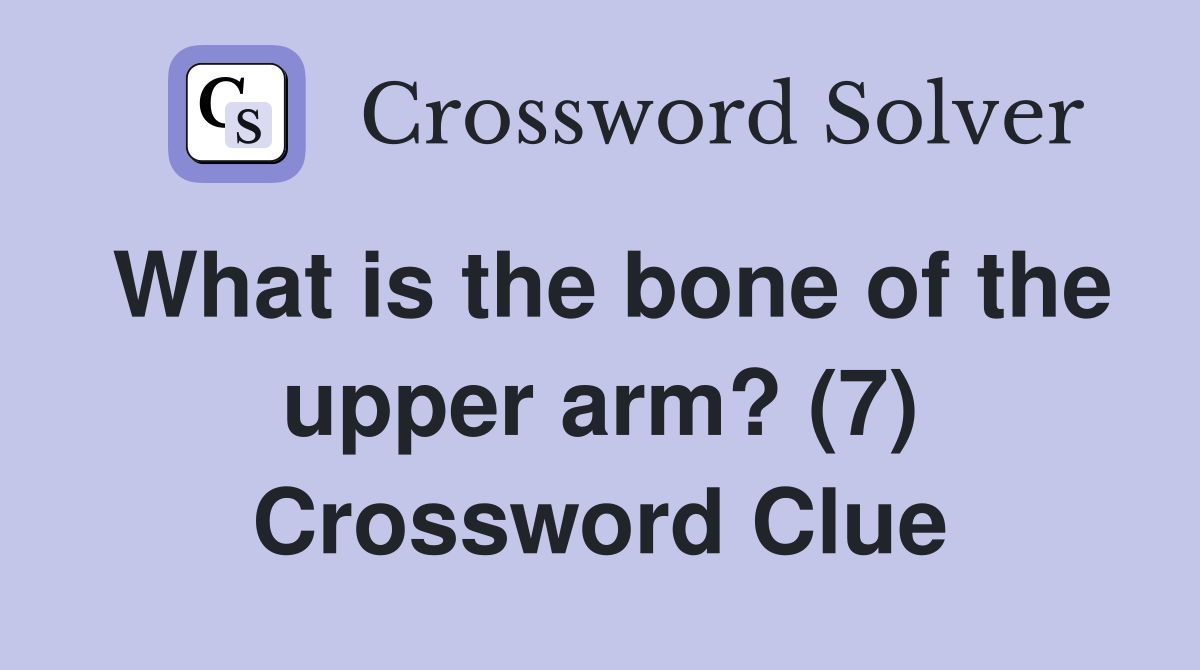 What is the bone of the upper arm? (7) Crossword Clue
