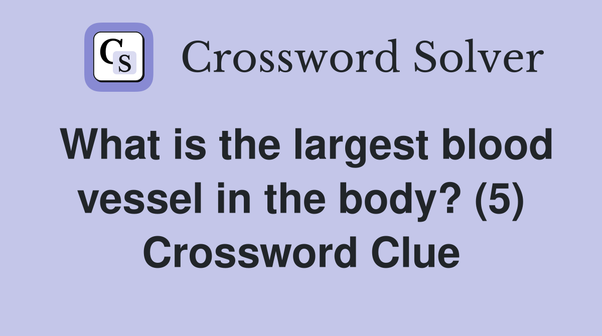 What is the largest blood vessel in the body? (5) Crossword Clue