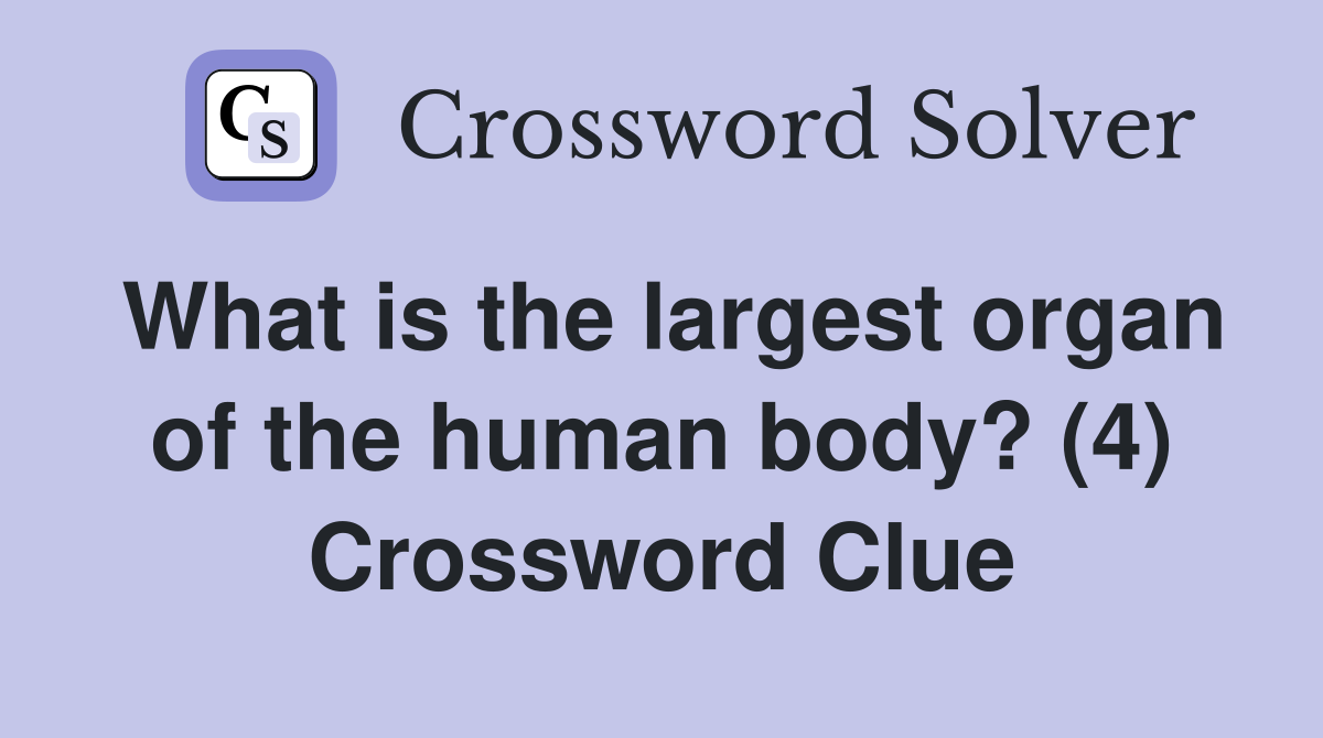 What is the largest organ of the human body? (4) Crossword Clue