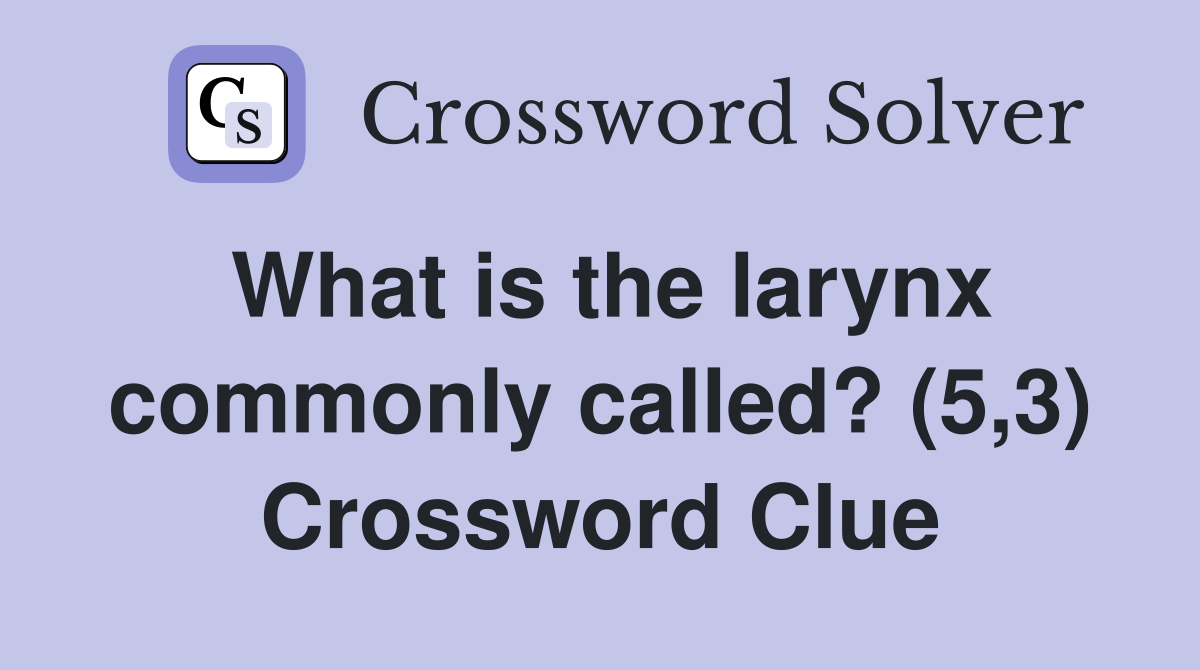 What is the larynx commonly called? (5,3) Crossword Clue