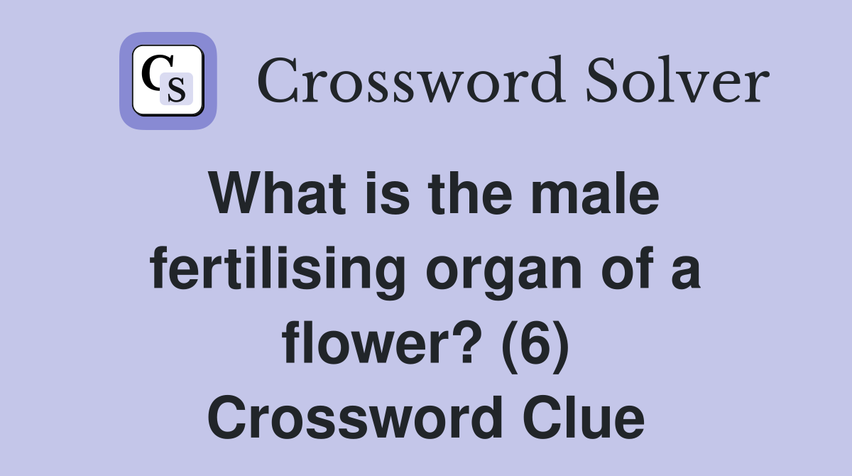 What is the male fertilising organ of a flower? (6) Crossword Clue