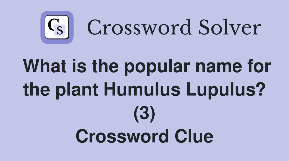 What is the popular name for the plant Humulus Lupulus? (3) Crossword Clue