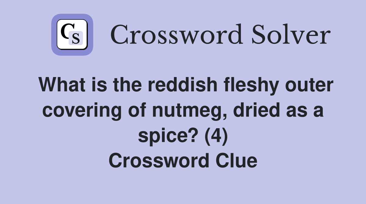 What is the reddish fleshy outer covering of nutmeg, dried as a spice? (4) Crossword Clue