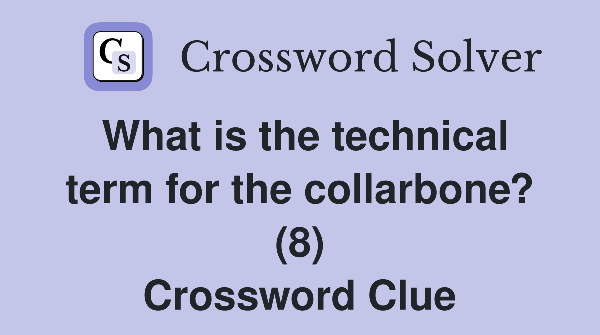 What is the technical term for the collarbone? (8) Crossword Clue