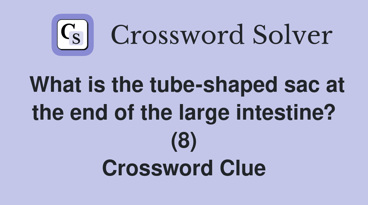 What is the tube-shaped sac at the end of the large intestine? (8) Crossword Clue