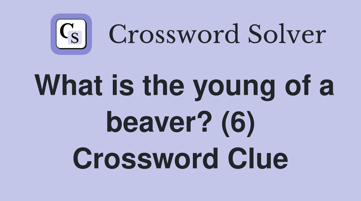 What is the young of a beaver? (6) Crossword Clue