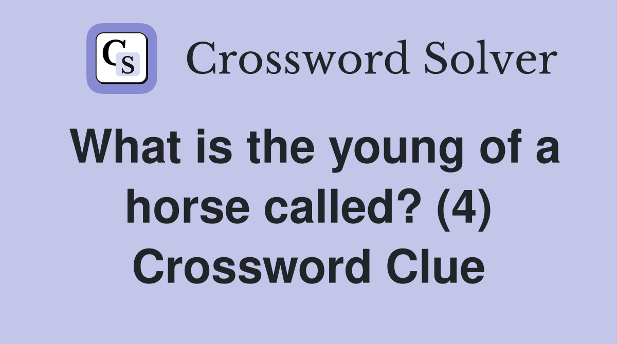 What is the young of a horse called? (4) Crossword Clue