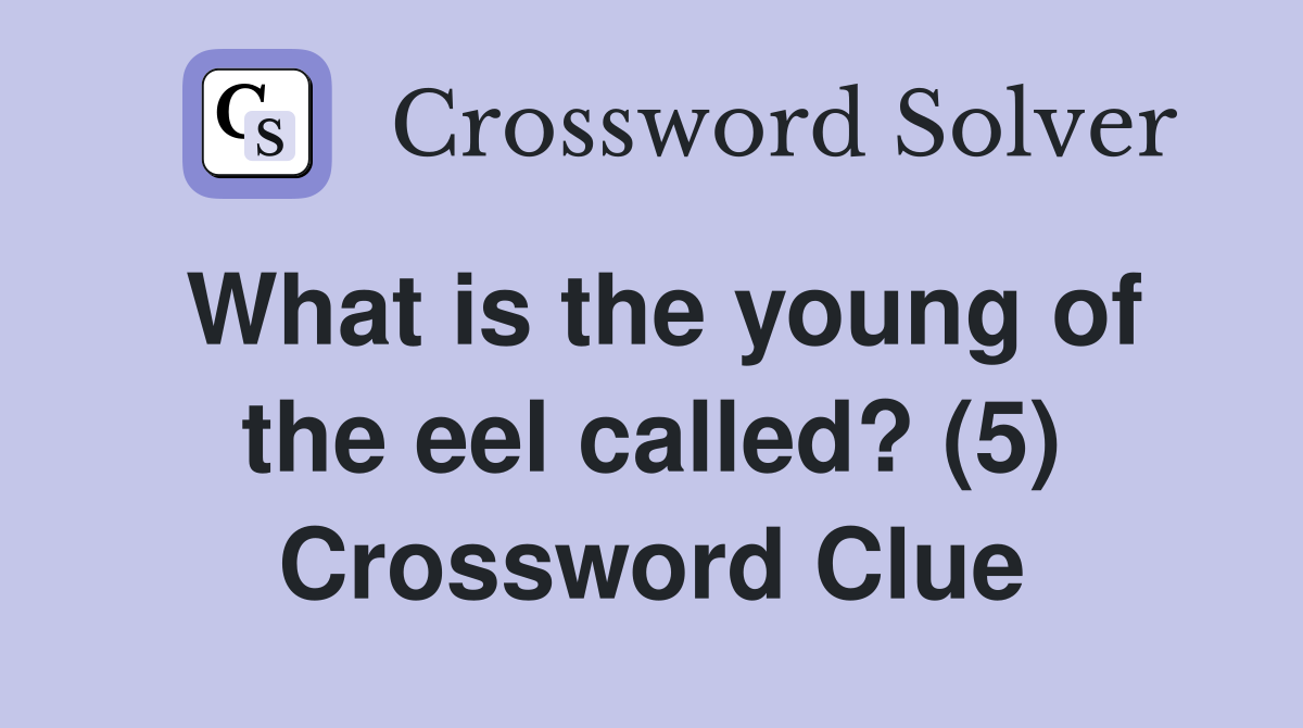 What is the young of the eel called? (5) Crossword Clue