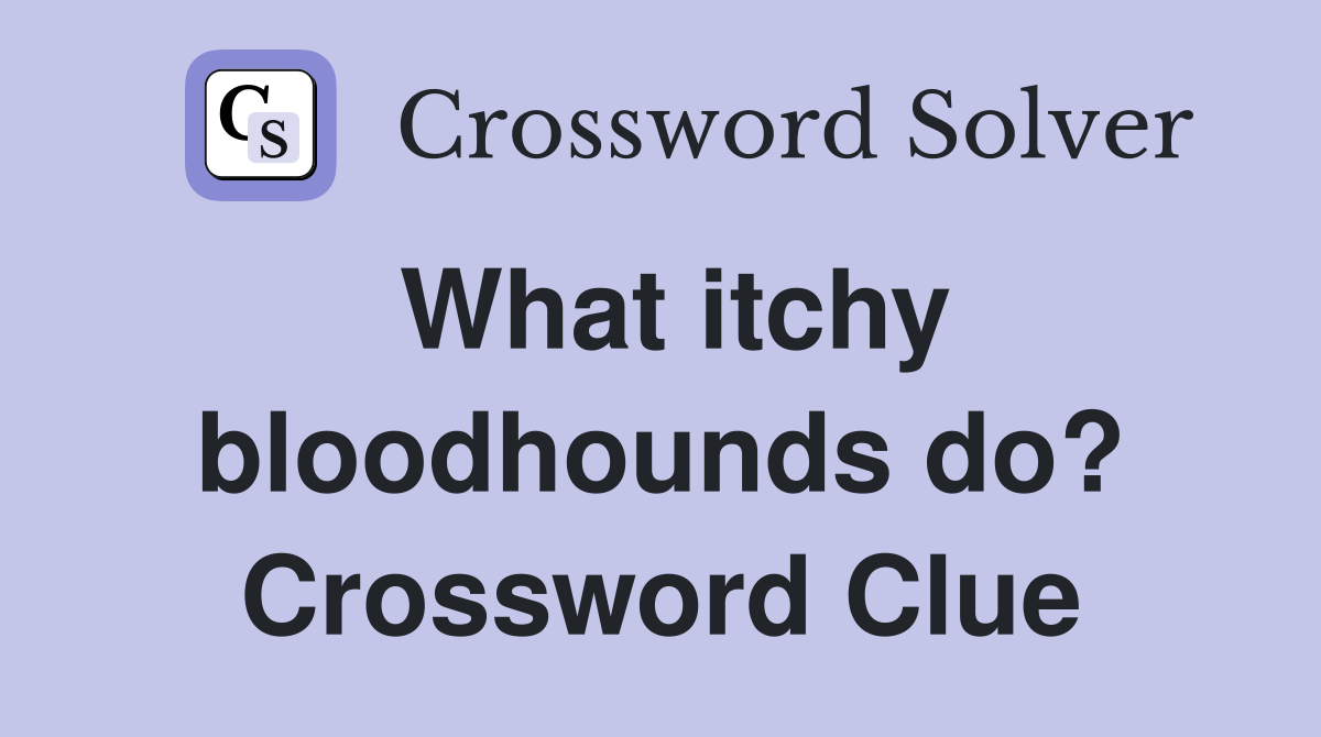 What itchy bloodhounds do? Crossword Clue