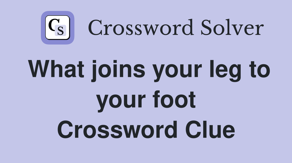 What joins your leg to your foot Crossword Clue