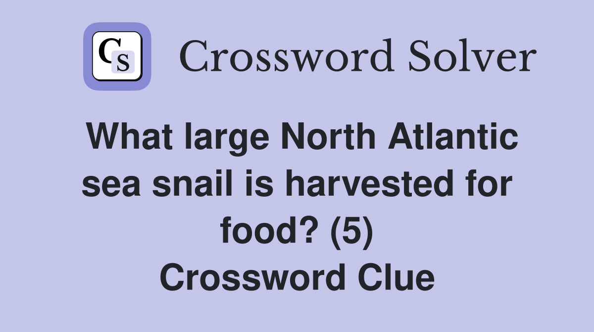What large North Atlantic sea snail is harvested for food? (5) Crossword Clue