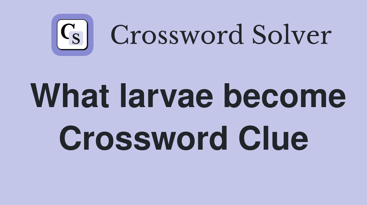 What larvae become Crossword Clue