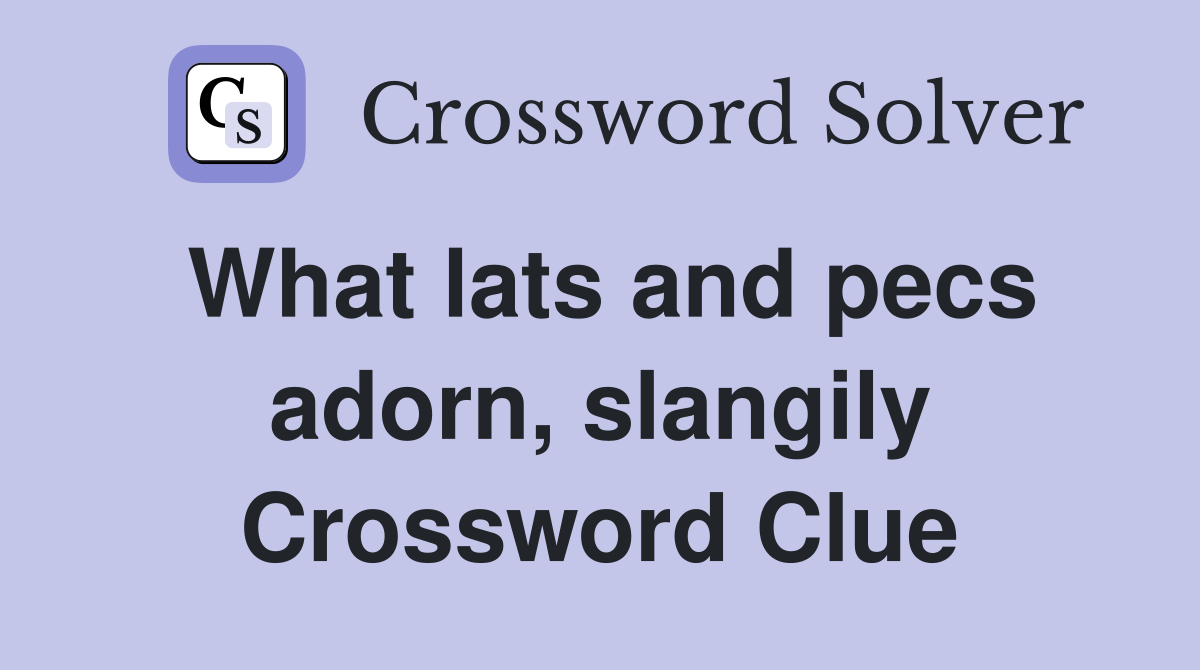 What lats and pecs adorn, slangily Crossword Clue