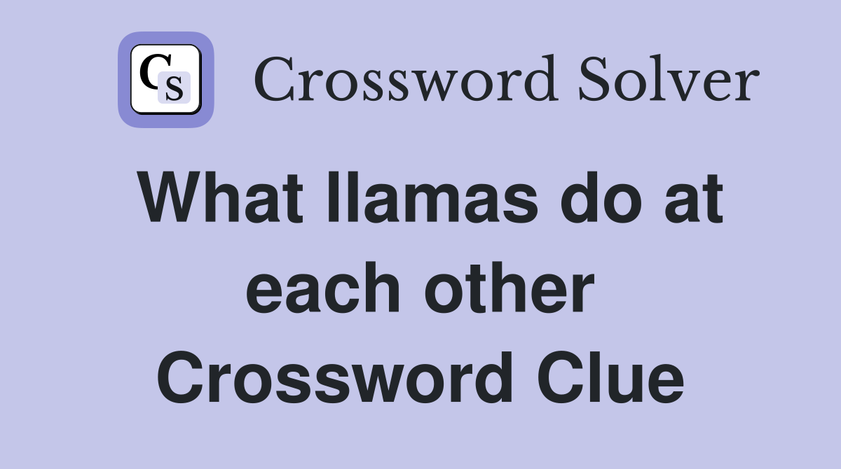 What llamas do at each other Crossword Clue