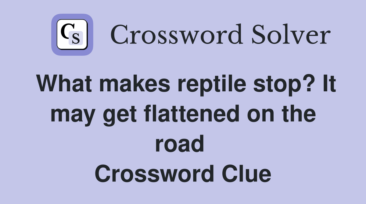 What makes reptile stop? It may get flattened on the road  Crossword Clue