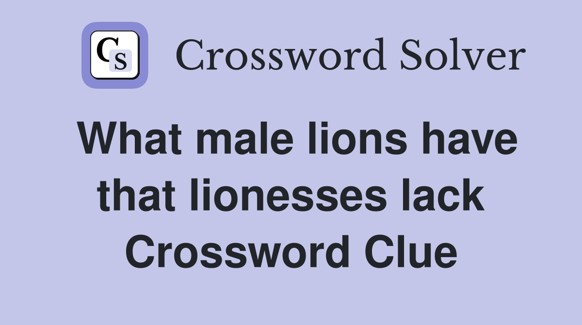 What male lions have that lionesses lack Crossword Clue