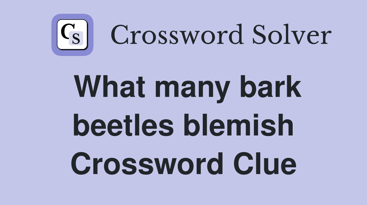 What many bark beetles blemish Crossword Clue