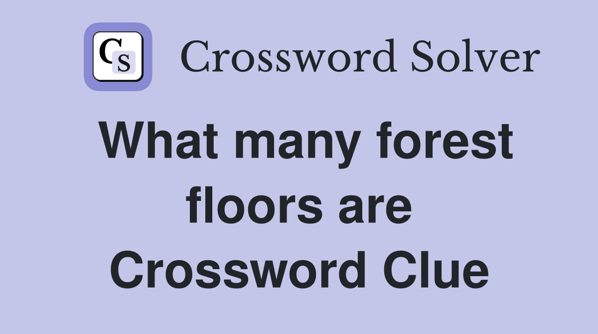 What many forest floors are Crossword Clue