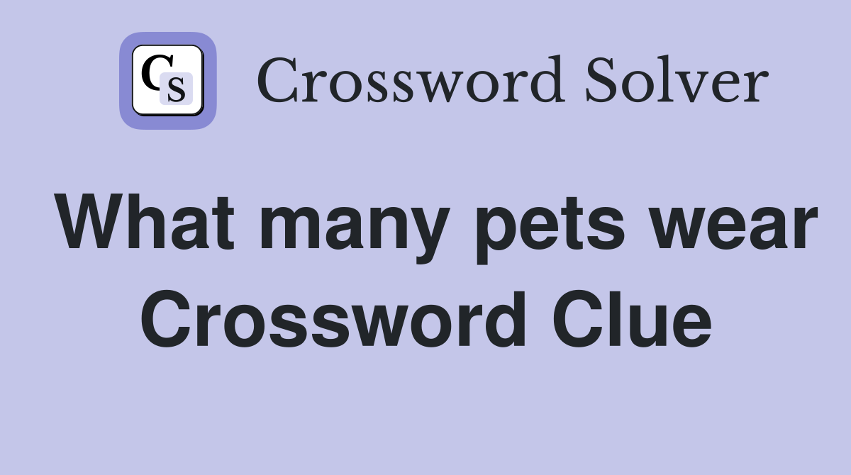 What many pets wear Crossword Clue